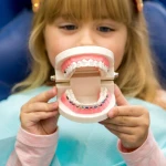 Gömülü Köpek Dişlerinin Ortodontik Olarak Sürdürülmesi