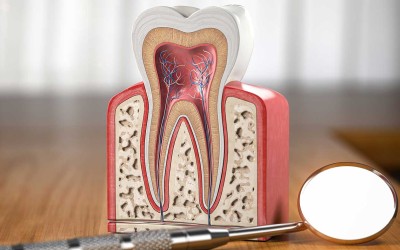 Kanal Tedavisi Hakkında Bilmeniz Gereken Tüm Detaylar