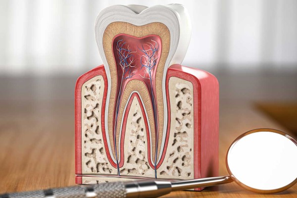 Kanal Tedavisi Hakkında Bilmeniz Gereken Tüm Detaylar