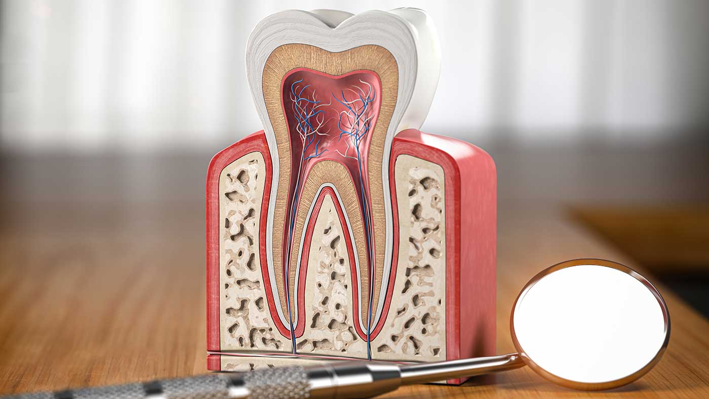 All the Details You Need to Know About Root Canal Treatment 